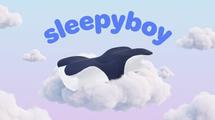Original SleepyBoy